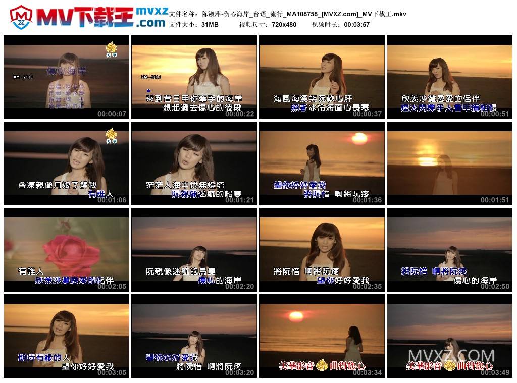 陈淑萍-伤心海岸_台语_流行_MA108758